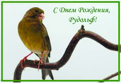 открытка2.jpg