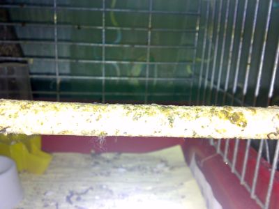 120220123425.jpg