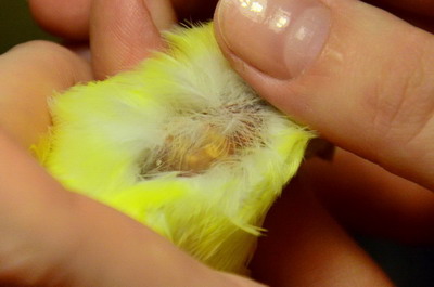 foto2 (2).jpg