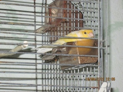 IMG_1111.JPG