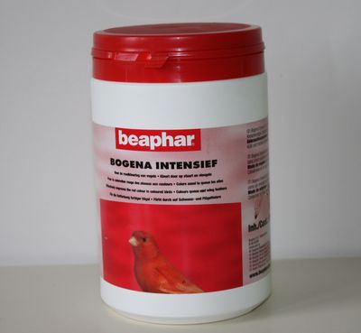 BOGENA%20INTENSIF%201805.jpg