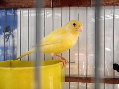 DSCF0640.jpg