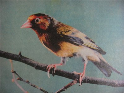 78de2d0e8969.jpg