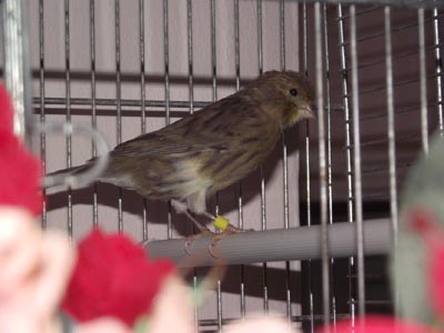 DSCF4866.jpg