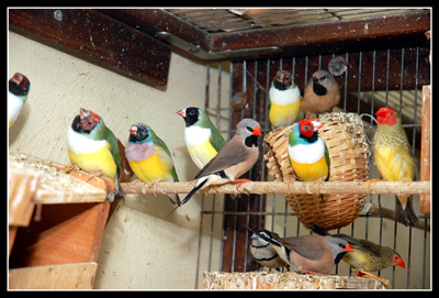 DSC_0032.jpg