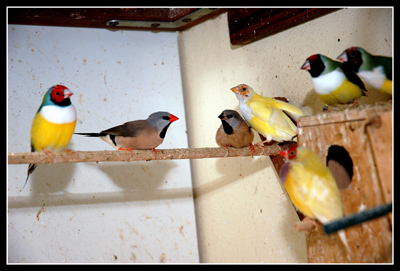 DSC_0031.jpg