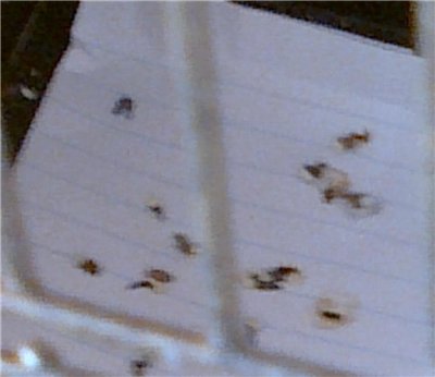 48e6966b6737.jpg