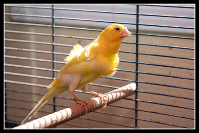DSC_0029.jpg