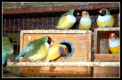 DSC_0035.jpg