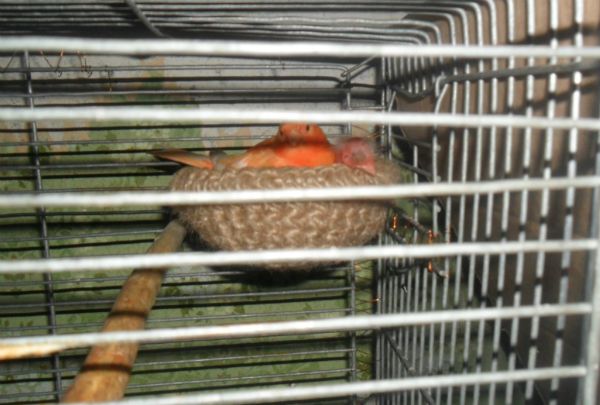 SAM_141711.jpg