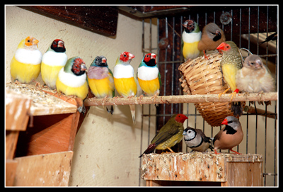 DSC_0033.jpg