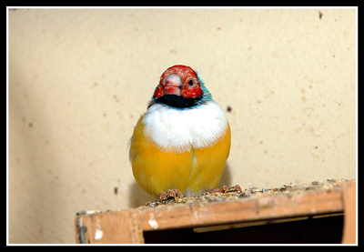 DSC_0034.jpg