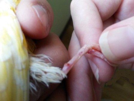 20130829_190152.jpg