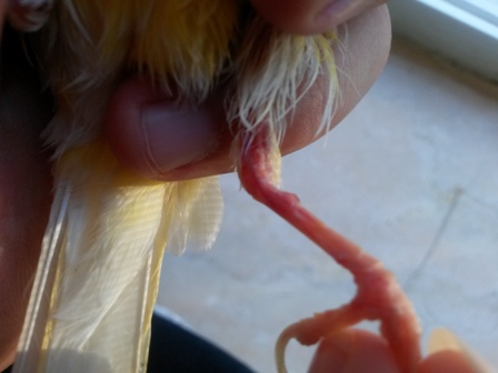 20130829_190341.jpg