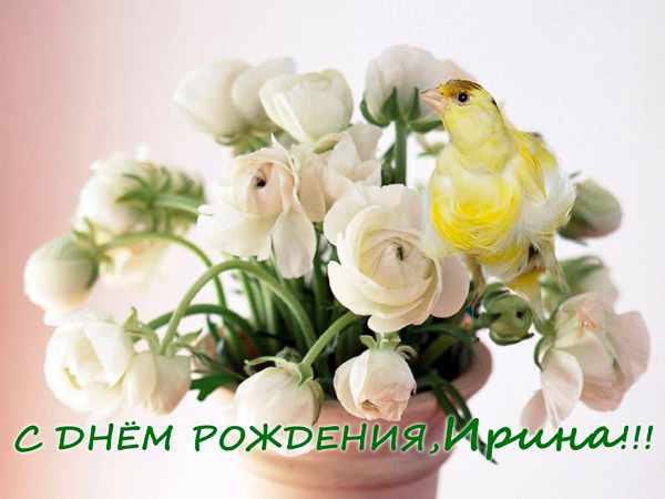 48603_102.jpg