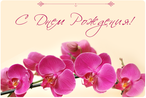 S_Dnem_Rozhdeniya.png