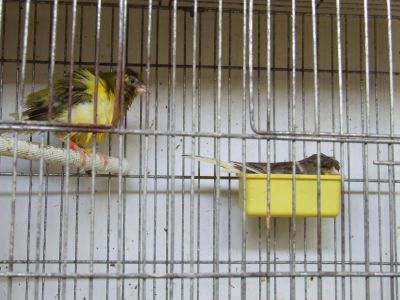 DSCF0411.JPG