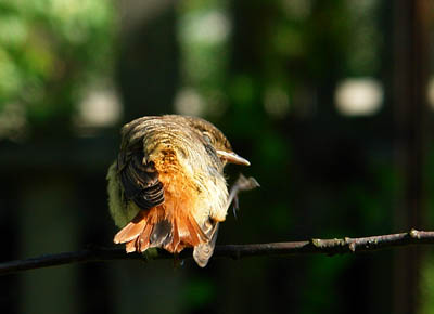 DSC07122ммм.jpg
