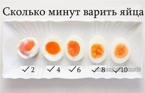 яйца.jpg