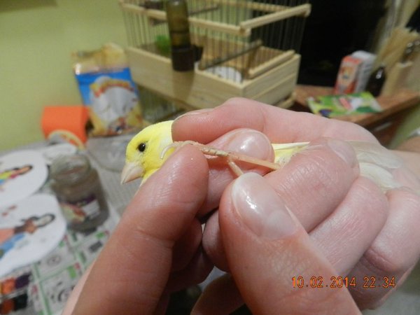 DSCN5122.JPG