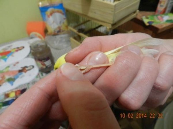DSCN5123.JPG