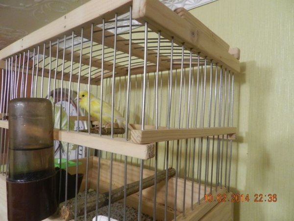 DSCN5126.JPG