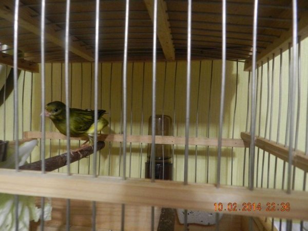 DSCN5127.JPG